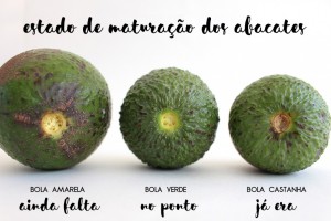 abacates_amadurecimento